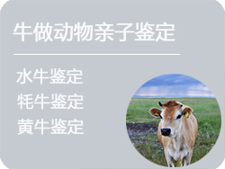 黑龙江牛做动物亲子鉴定