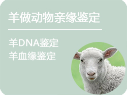 黑龙江羊做动物亲缘鉴定
