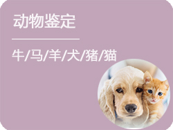 黑龙江动物鉴定
